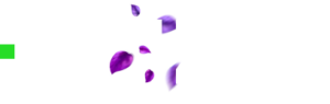 Image module